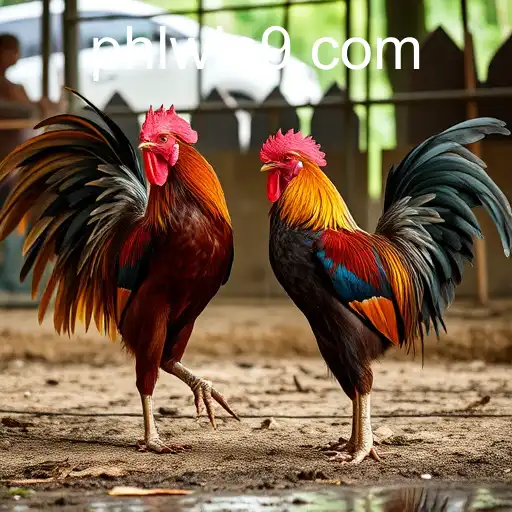 Security and Trust PHLwin - International Licenses and Certifications